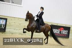 22BUCK_05284 proof