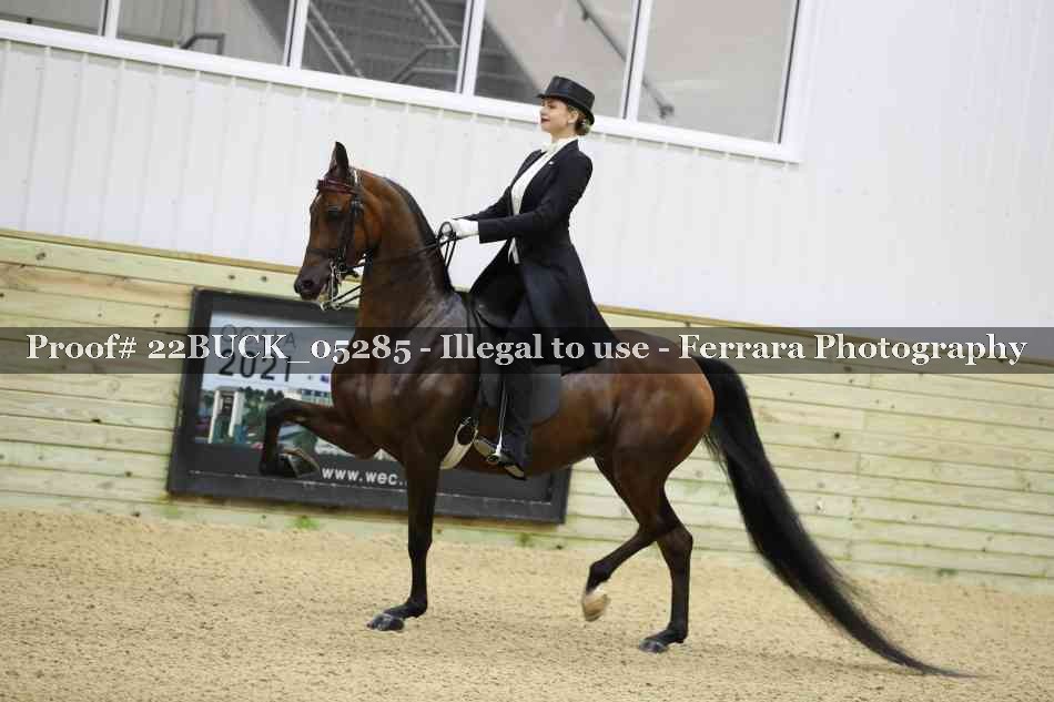Proof 22BUCK_05285