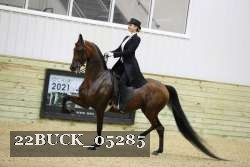 22BUCK_05285 proof