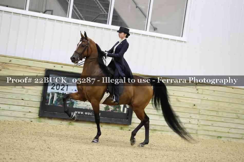 Proof 22BUCK_05287