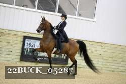22BUCK_05287 proof