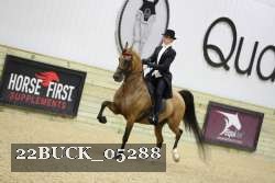 22BUCK_05288 proof