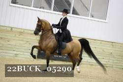 22BUCK_05290 proof