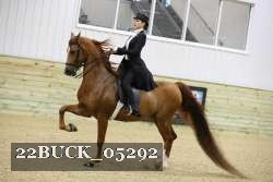 22BUCK_05292 proof