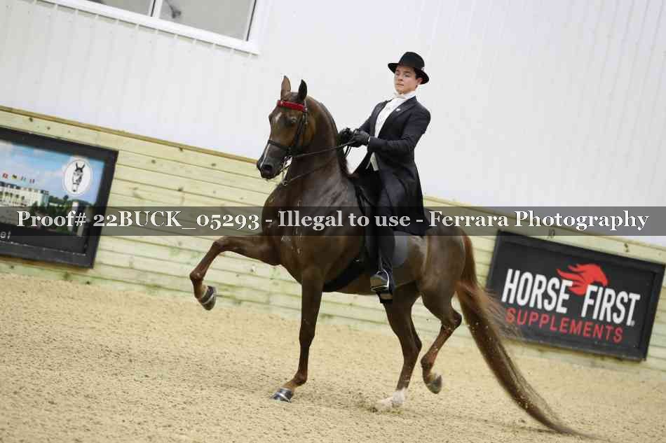 Proof 22BUCK_05293