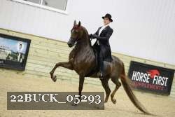 22BUCK_05293 proof