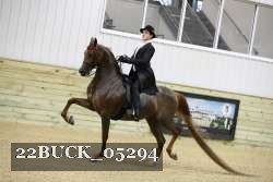 22BUCK_05294 proof