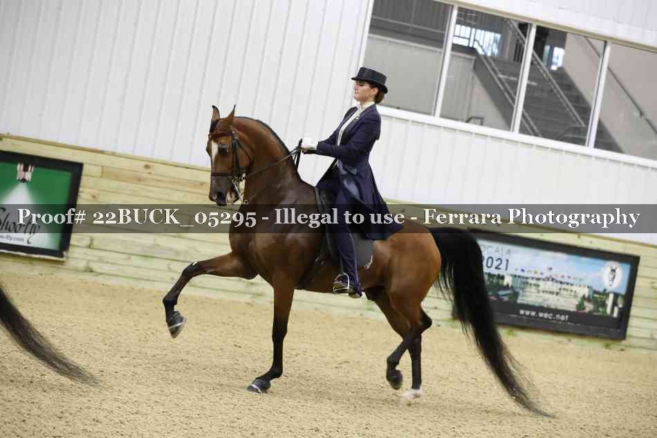 Proof 22BUCK_05295