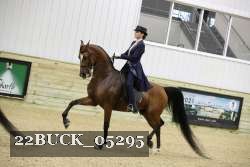 22BUCK_05295 proof
