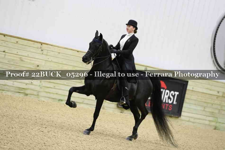 Proof 22BUCK_05296