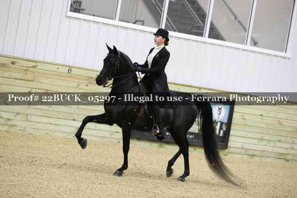 Proof 22BUCK_05297