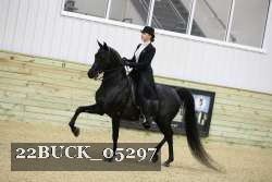 22BUCK_05297 proof