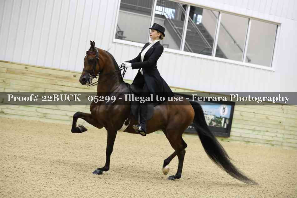 Proof 22BUCK_05299