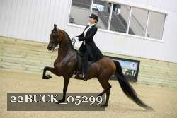 22BUCK_05299 proof