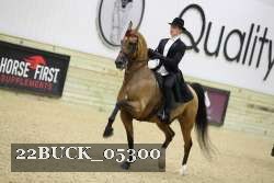 22BUCK_05300 proof