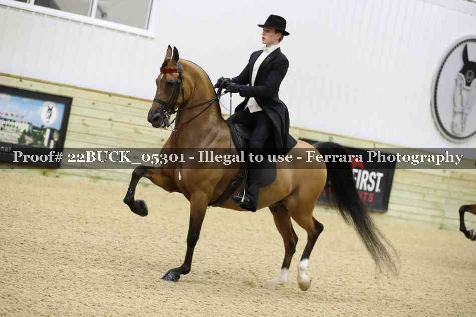 Proof 22BUCK_05301