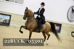 22BUCK_05301 proof