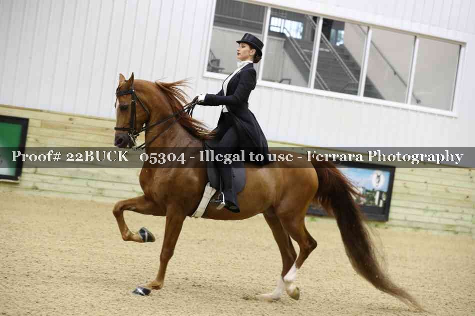 Proof 22BUCK_05304