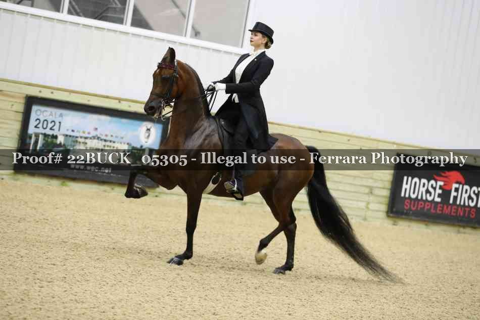 Proof 22BUCK_05305