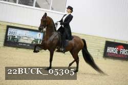 22BUCK_05305 proof
