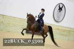 22BUCK_05306 proof