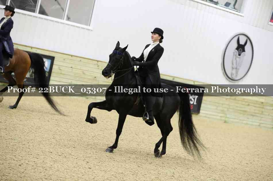 Proof 22BUCK_05307