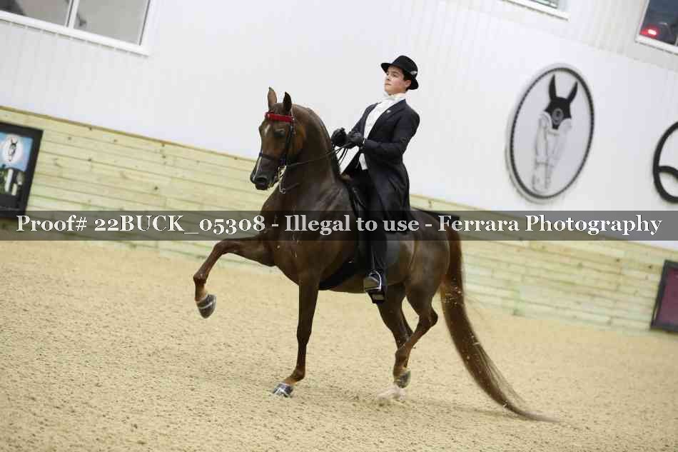 Proof 22BUCK_05308