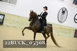 22BUCK_05308 proof