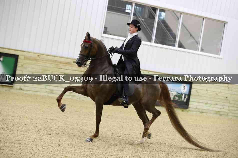 Proof 22BUCK_05309