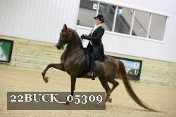 22BUCK_05309 proof
