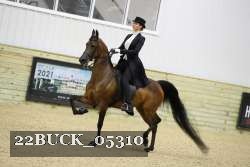 22BUCK_05310 proof
