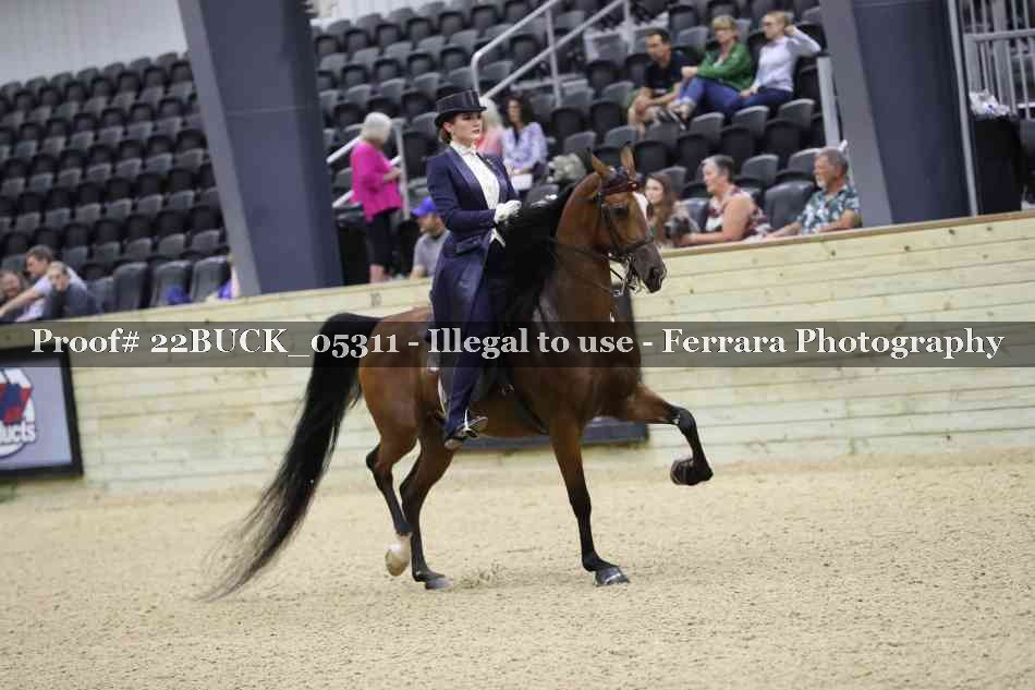 Proof 22BUCK_05311