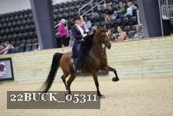 22BUCK_05311 proof