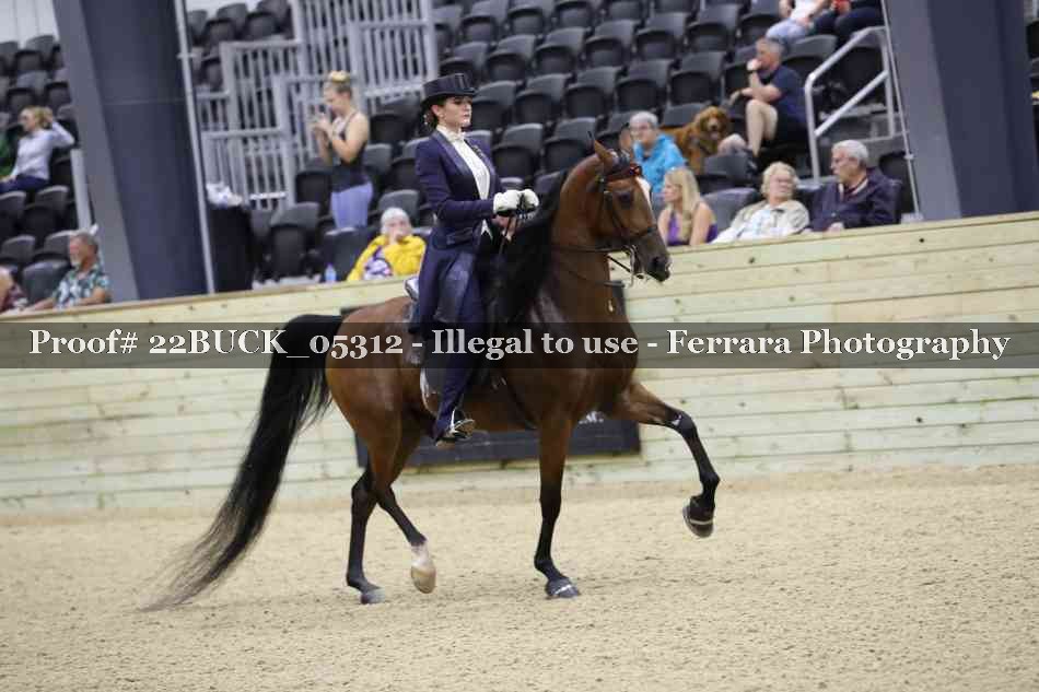 Proof 22BUCK_05312
