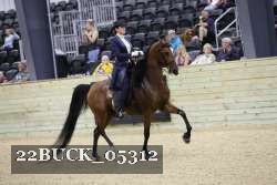 22BUCK_05312 proof