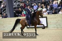 22BUCK_05313 proof