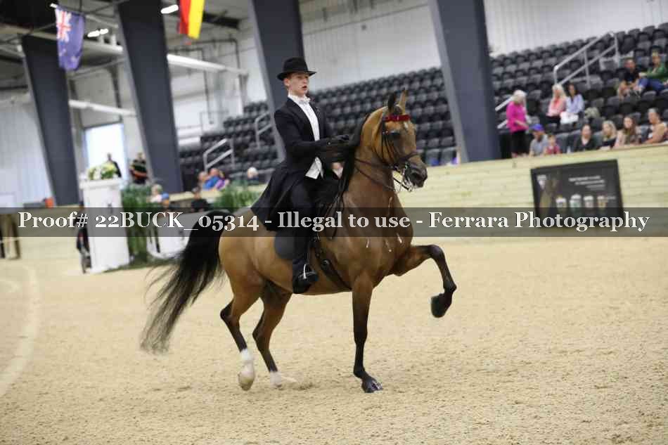 Proof 22BUCK_05314