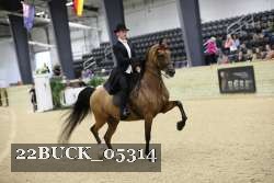 22BUCK_05314 proof