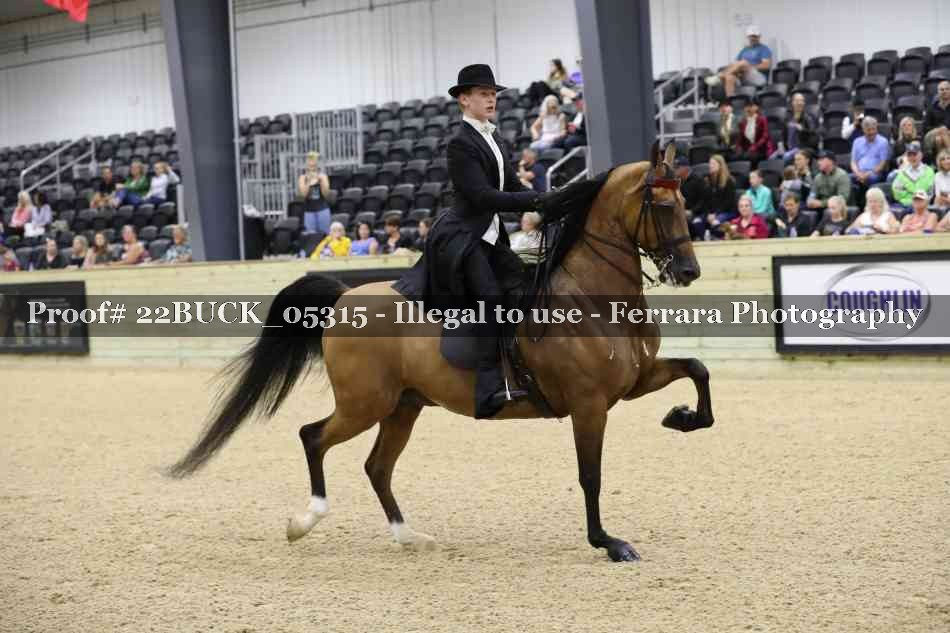 Proof 22BUCK_05315
