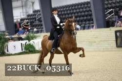 22BUCK_05316 proof