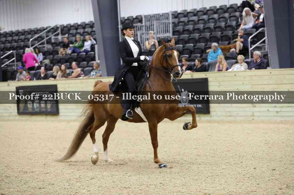 Proof 22BUCK_05317