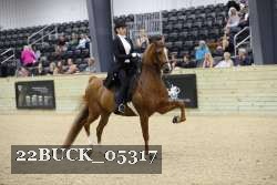 22BUCK_05317 proof