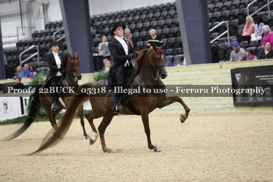 Proof 22BUCK_05318