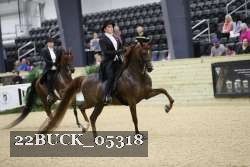 22BUCK_05318 proof