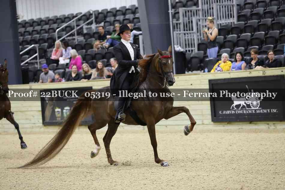Proof 22BUCK_05319