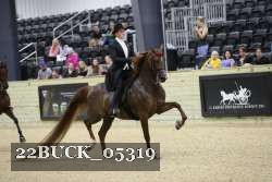 22BUCK_05319 proof