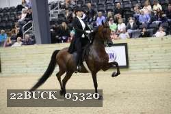 22BUCK_05320 proof