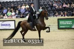 22BUCK_05321 proof