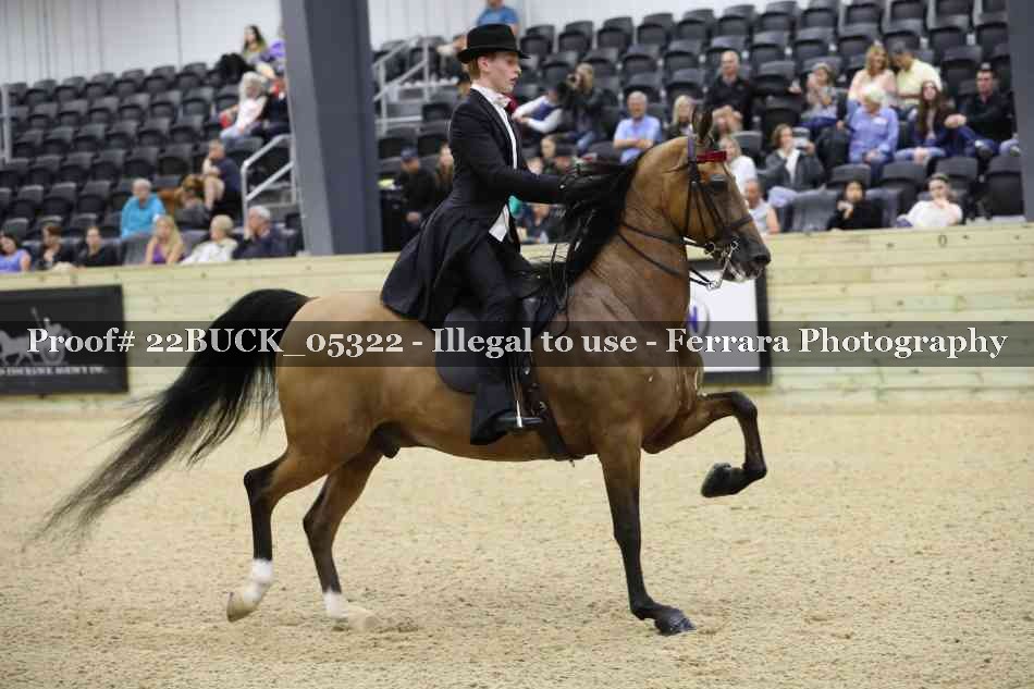 Proof 22BUCK_05322