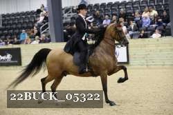 22BUCK_05322 proof